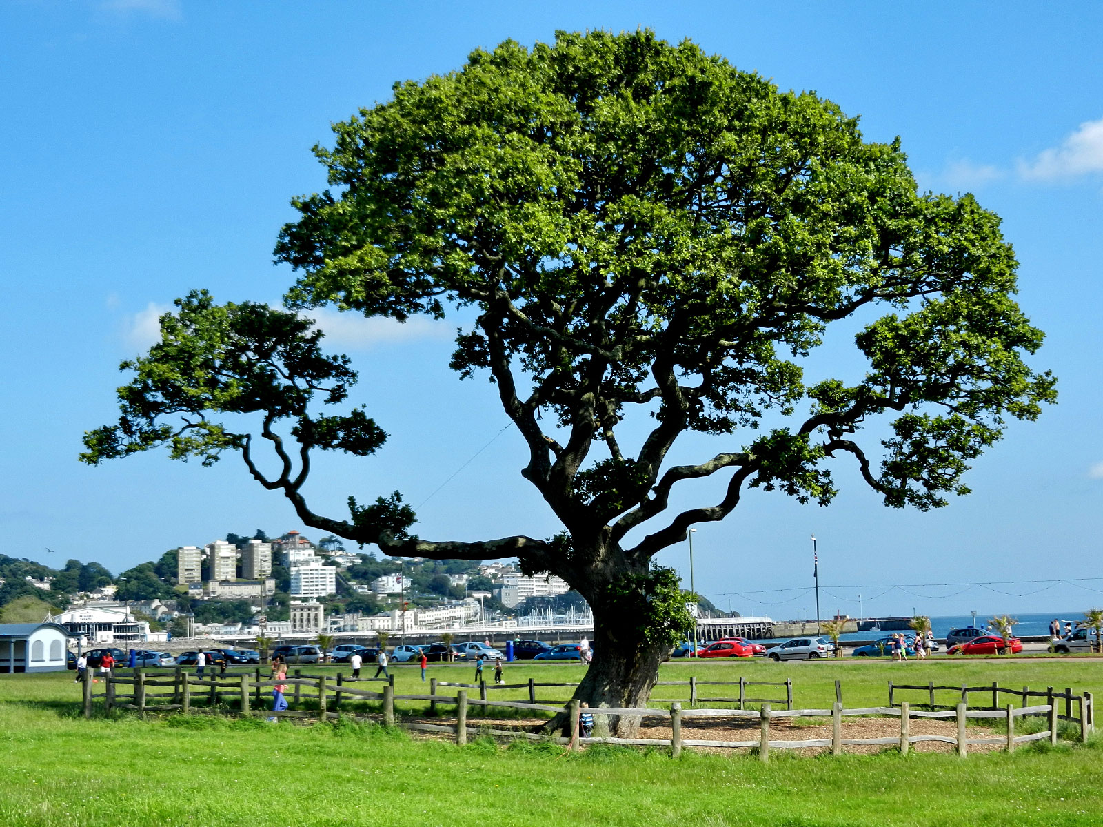Torquay